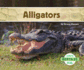 Alligators (Reptiles)