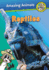 Reptiles (Ranger Rick: Amazing Animals)