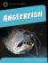 Anglerfish