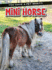 Mini Horse (You Have a Pet What? ! )
