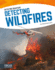 Detecting Wildfires (Detecting Disasters) (Detecting Disasters (Hardcover))