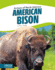 American Bison (Animals of North America) (Animals of North America (Hardcover))