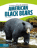 American Black Bears (Animals of North America) (Focus Readers: Animals of North America: Beacon Level)