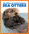 Sea Otters (the World of Ocean Animals)