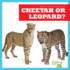 Cheetah Or Leopard? (Bullfrog Books: Spot the Differences)
