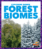Forest Biomes (Pogo Books: Exploring Biomes)