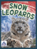 Snow Leopards Paperback? August 1, 2021
