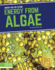 Energy From Algae (Energy for the Future)