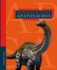 Apatosaurus (Dinosaur Days)