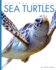 Sea Turtles (Amazing Animals)