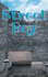 Street Boy