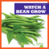 Watch a Bean Grow (Bullfrog Books: Watch It Grow)