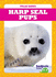 Harp Seal Pups (Tadpole Books: Polar Babies)