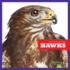 Hawks (Bullfrog Books: Raptor World)