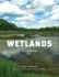 Wetlands: An Introduction