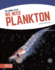 We Need Plankton Animal Files