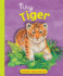 Tiny Tiger