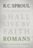 Romans an Expositional Commentary