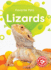 Lizards