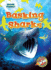 Basking Sharks (Blastoff Readers. Level 3: Shark Frenzy)