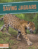 Saving Jaguars 9781644933831