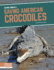 Saving American Crocodiles 9781644934593