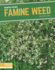 Invasive Species: Famine Weed