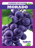 Morado (Purple) (Diversion Con Colores (Fun With Colors))