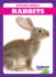 Rabbits (Tadpole Books: Backyard Animals)