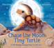 Chase the Moon, Tiny Turtle: a Hatchling's Daring Race to the Sea