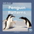 Penguin Patterns 9781646191970