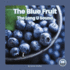 The Blue Fruit (on It, Phonics! Vowel Sounds)