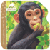 Jane Goodall Chimpanzees-Children's Lift-a-Flap Board Book for Babies and Toddlers, Ages 2-5 (Jane & Me)