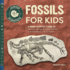 Fossils for Kids: a Junior Scientists Guide to Dinosaur Bones, Ancient Animals, and Prehistoric Life on Earth