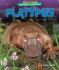 Platypus