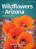 Wildflowers of Arizona Field Guide (Wildflower Identification Guides)