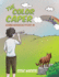 The Color Caper (Paperback Or Softback)