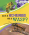 Is It a Honeybee Or a Wasp?