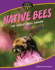 Native Bees: The Sensational Swarm