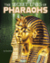 The Secret Lives of Pharaohs