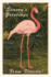 Vintage Journal Season Greetings From Florida, Flamingo