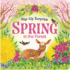 Spring in the Forest Deluxe Lift-a-Flap & Pop-Up Seasons Children's Board Book (Lift-a-Flap Surprise)