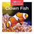 Clown Fish (Zoom in on Ocean Animals)