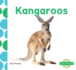 Kangaroos