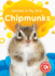 Chipmunks (Animals in My Yard: Blastoff! Beginners)