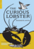 The Curious Lobster Format: Hardcover