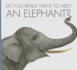 Do You Really Want to Meet an Elephant?