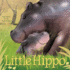 Little Hippo Little Animal Friends