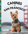 Canines of San Francisco