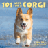 101 Uses for a Corgi